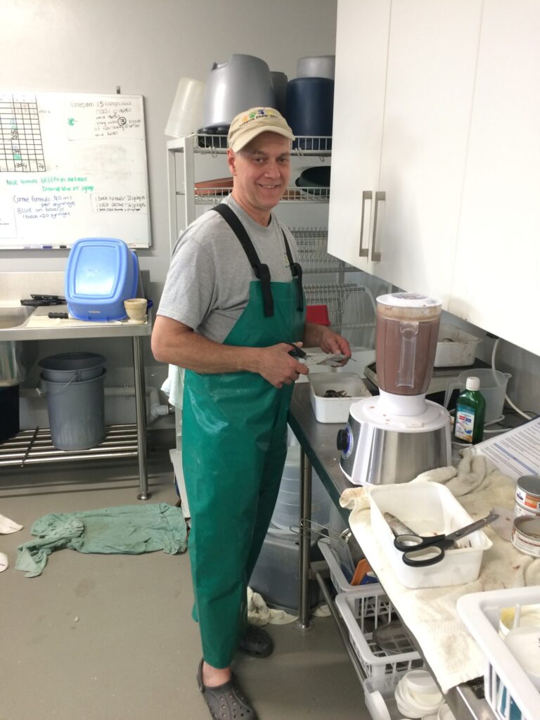 Preparing Penguin Food