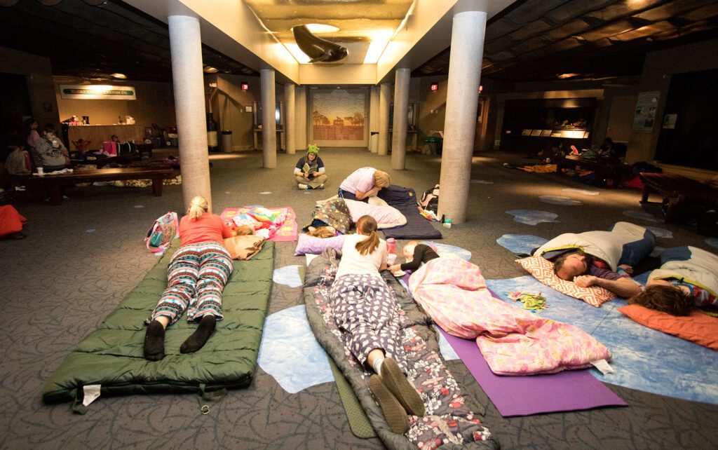 Family Sleepover at the Zoo