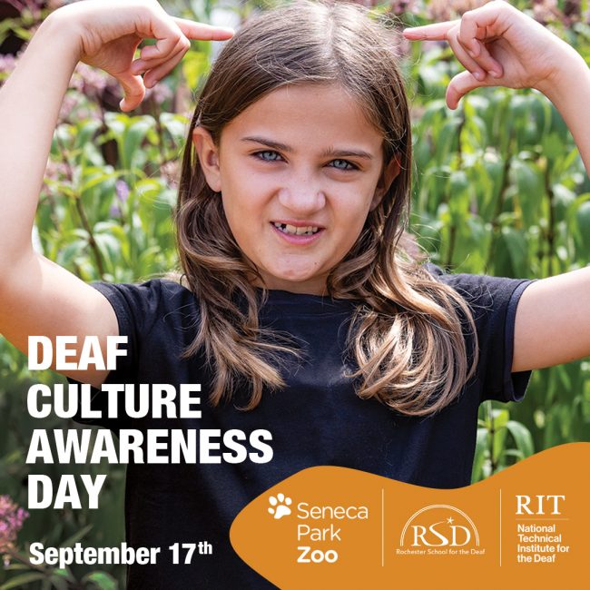 MicrosoftTeams-image-120-e1661268660421