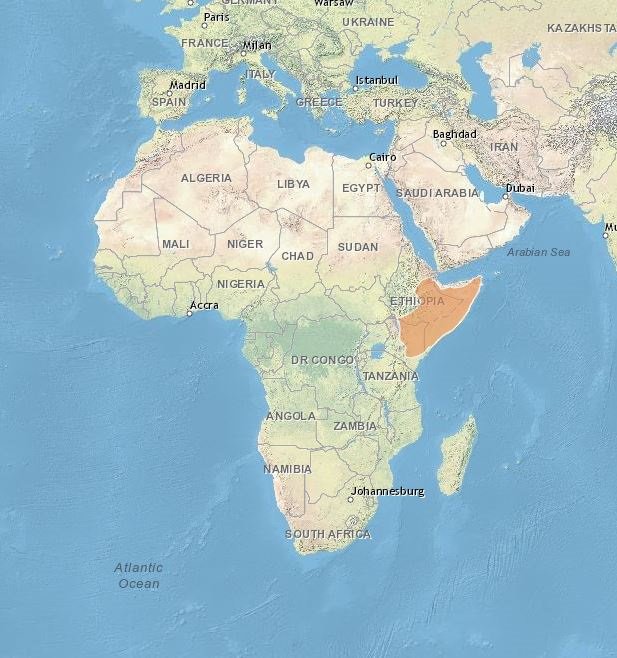 Naked Mole Rat Range