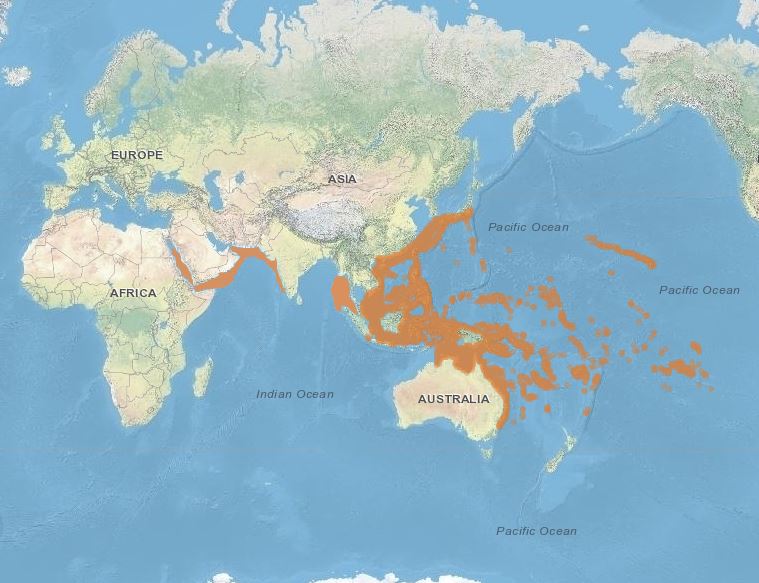 Pacific Feeder Shrimp Range