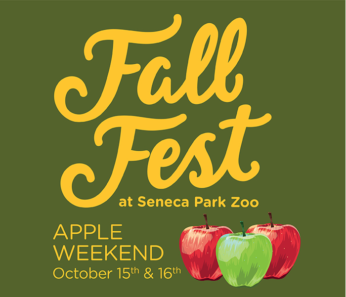fall-fest-apple-small