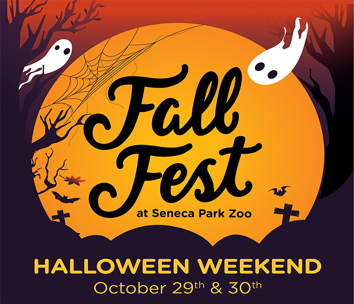 fall-fest-halloween-small