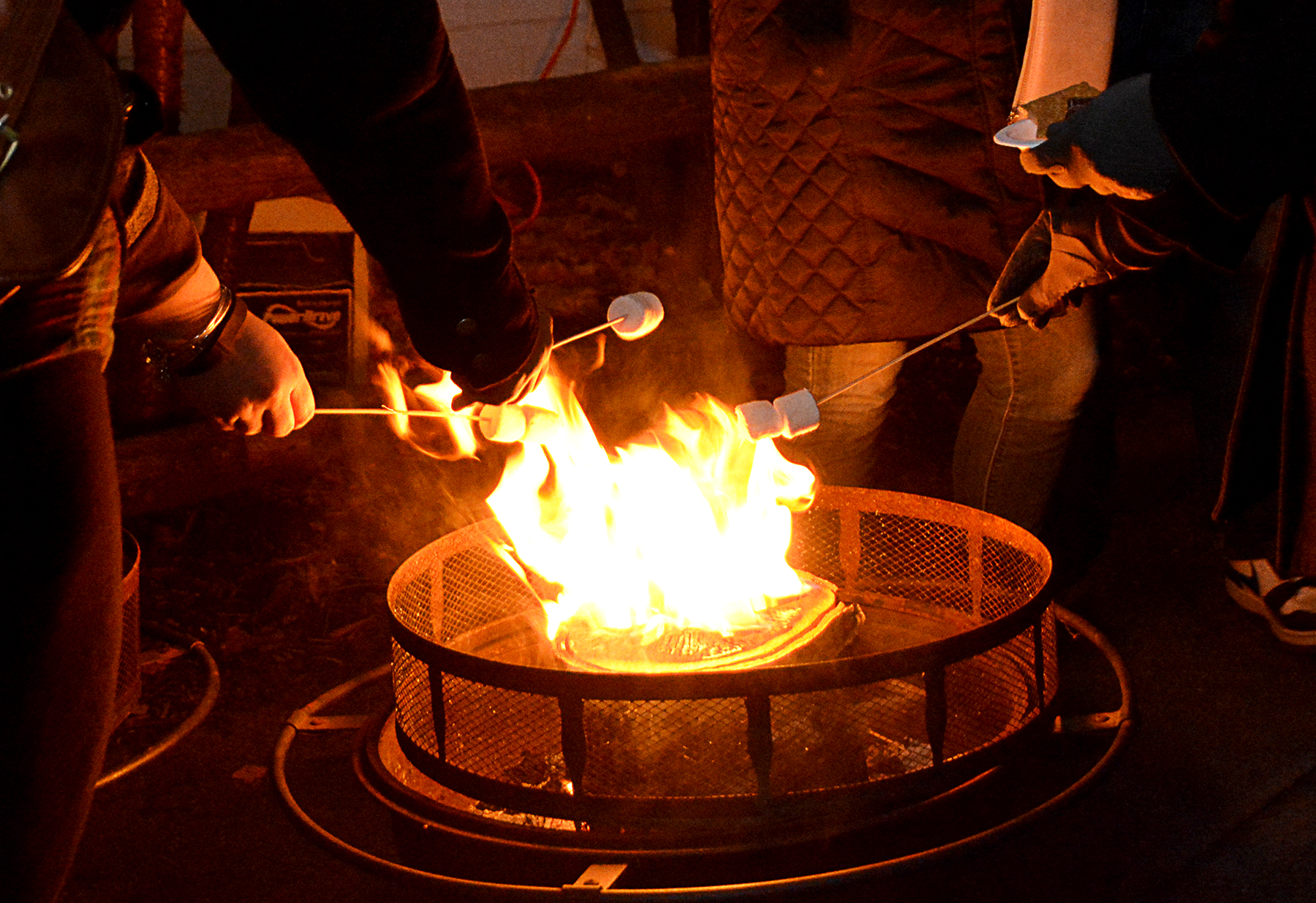 ZooBrrrew 2016 Marie Kraus (4) (February)