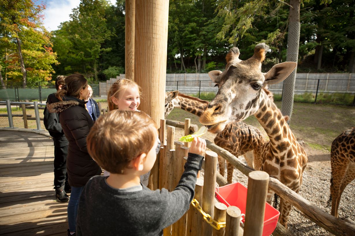 GTP_SPZ-GEXP-B-4638 (screenshot)