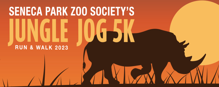 MicrosoftTeams-image (215)