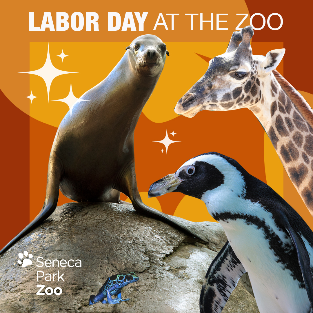 1080x1080_Template_SPZ_LaborDay