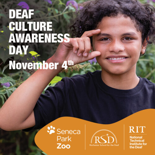 1080x1080_NTID_Sign_2023_1