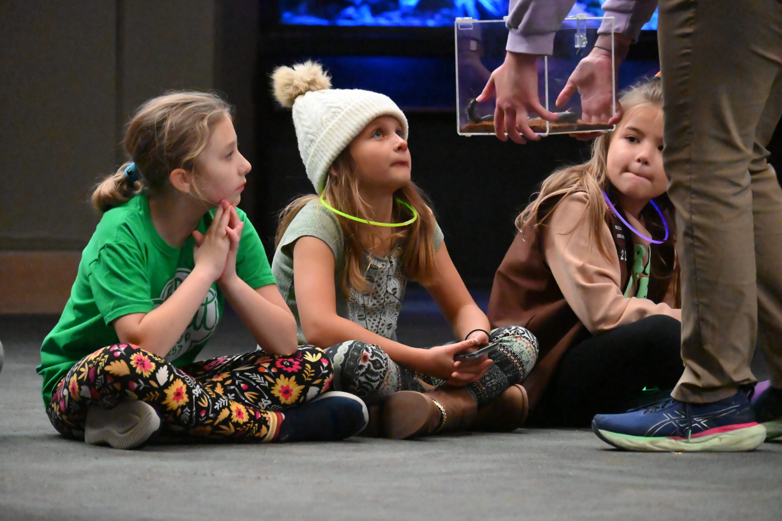 DSC_6803_JasonAbel_Trek