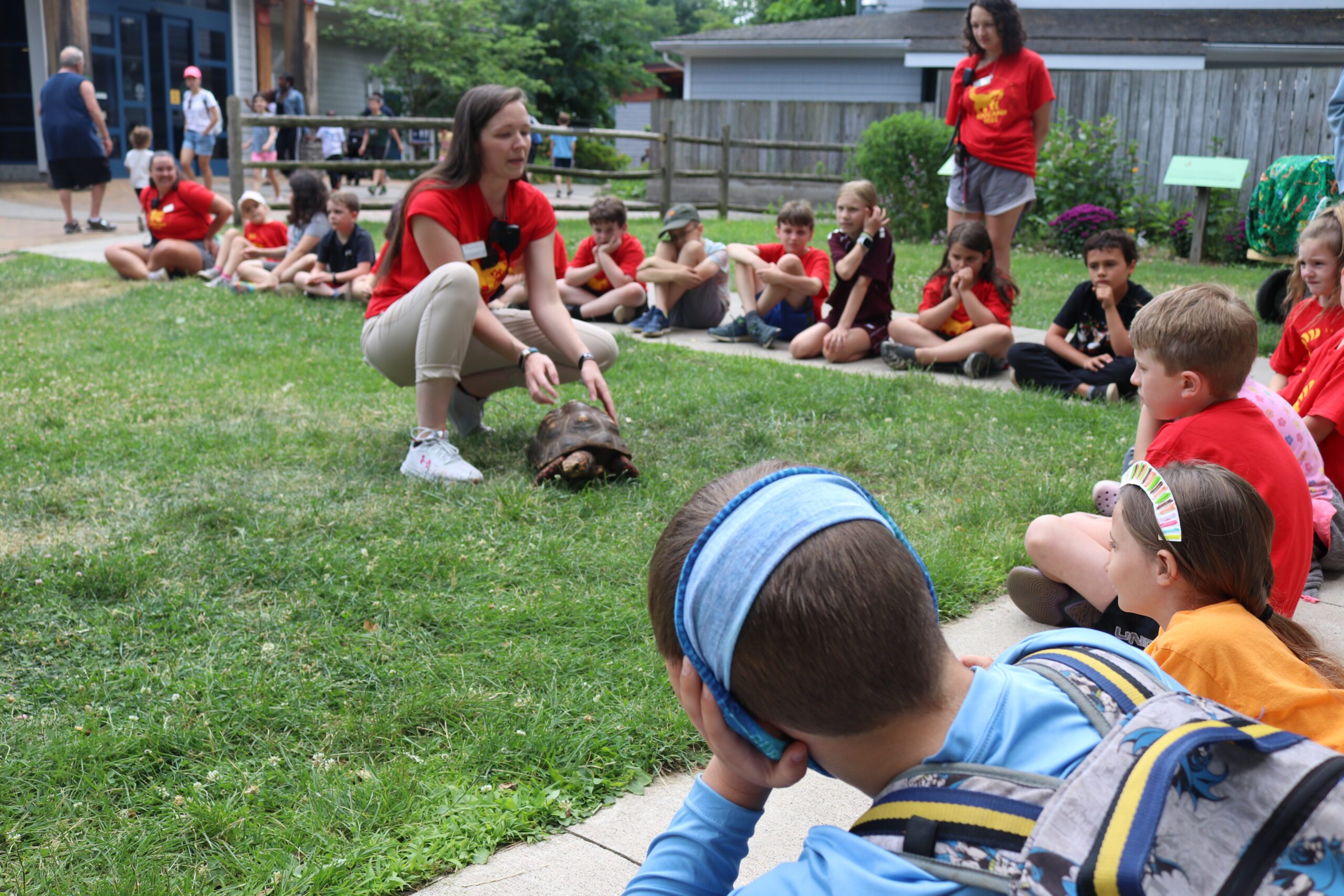 summer zoocamp (tricia with koopa)
