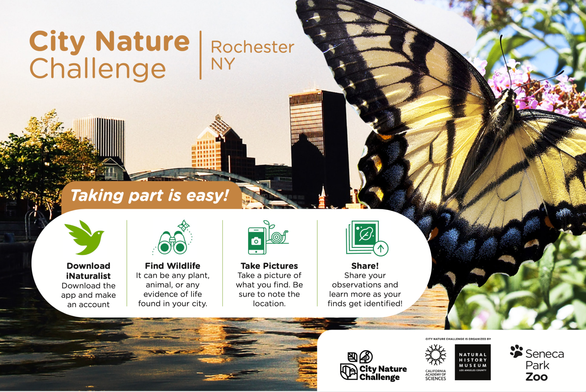 City Nature Challenge graphic Screenshot 2024-03-14 at 1.52.47 PM 1 1