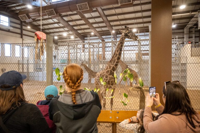 _DSC3119_WayneSmith 1