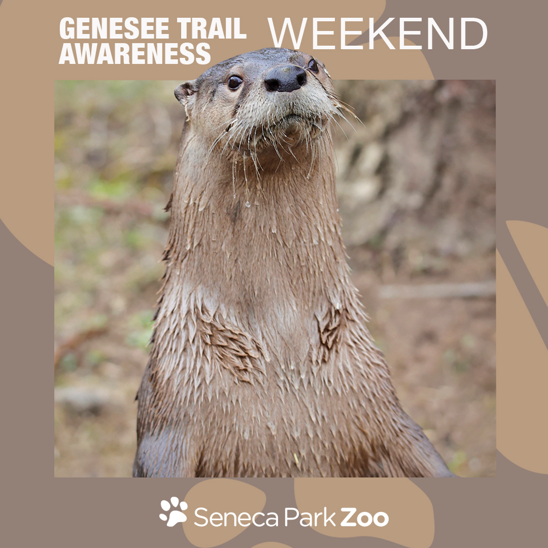 1080x1080_SPZ_GeneseeTrailAwareness 1