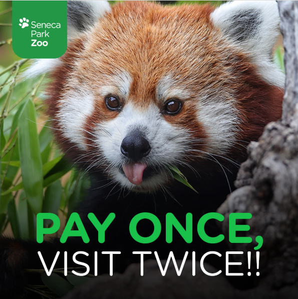 Screenshot 2025-02-26 124336