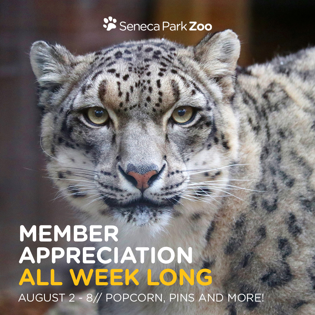 1080x1080_MemberAppreciationWeek_2025 1