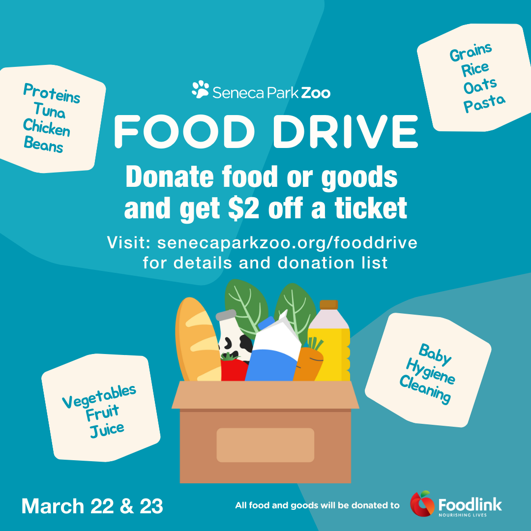 Promos – Food Drive – Post 1