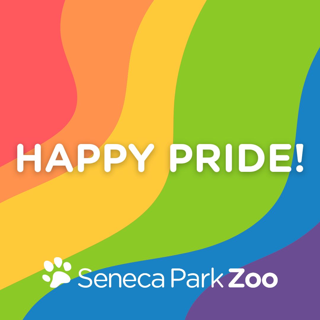 484822208_1069176128588193_826247440506966549_n