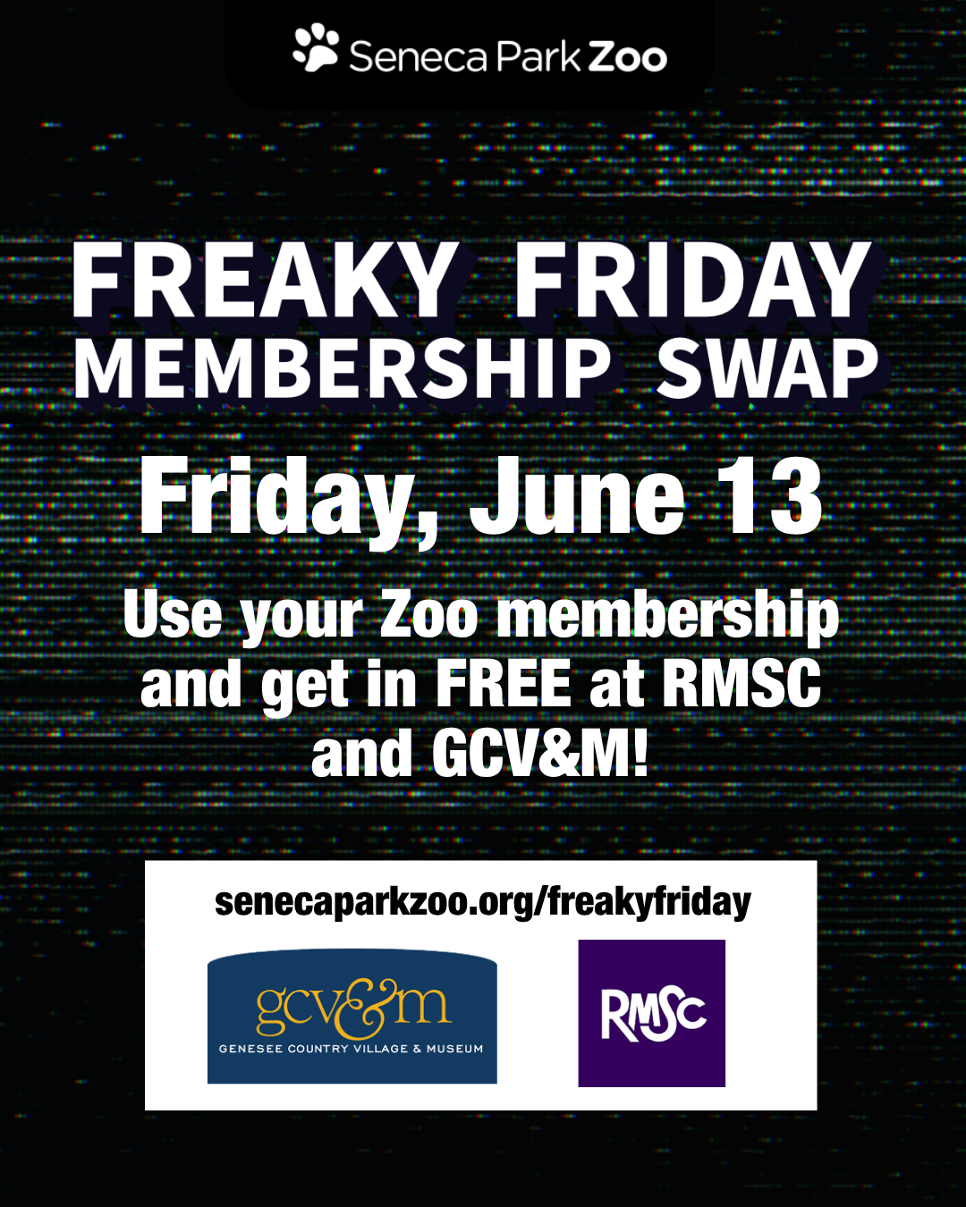 Animated 2025 Freaky Friday 2