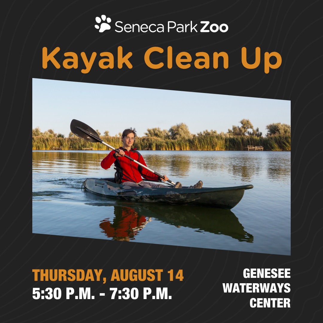 2025 PCA – Paddle Day CleanUp