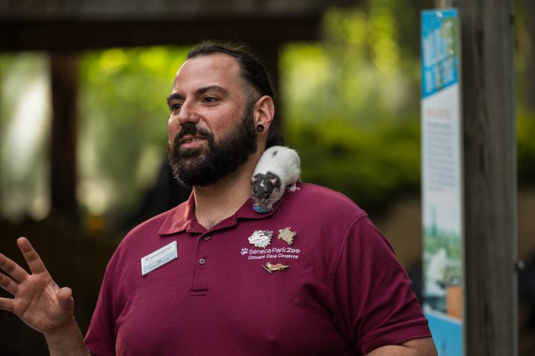 Birds, Bees and Brews