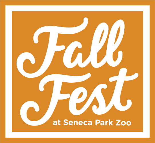 FallFest_9222_Final (6)