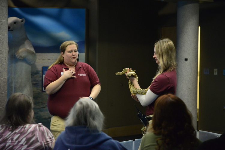 da7f0f09-d4fe-46eb-a1ec-989339191009